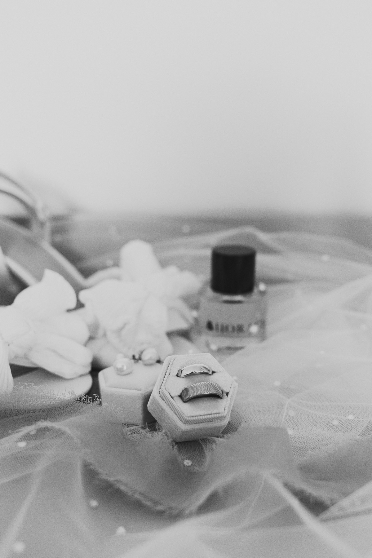 Julie Clarke Photography-Image-8