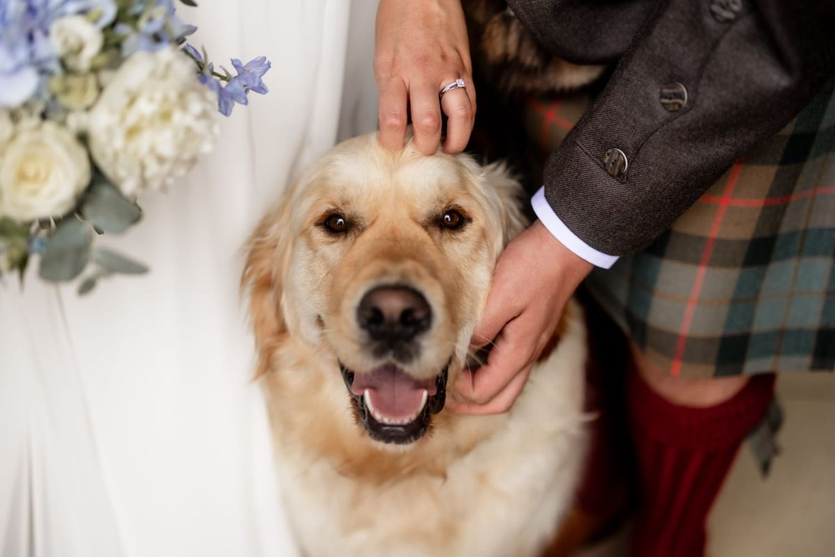 Hounds & Heritage Weddings-Image-15