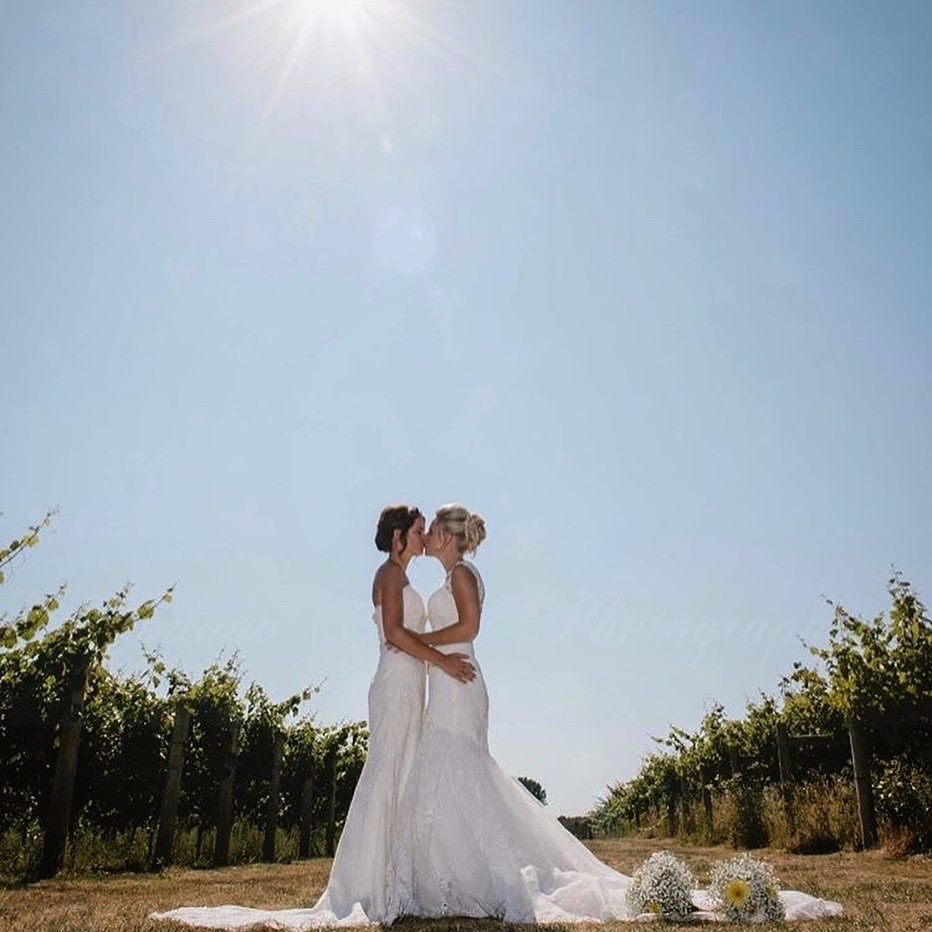 Gallery Item 16 for Highdown Vineyard