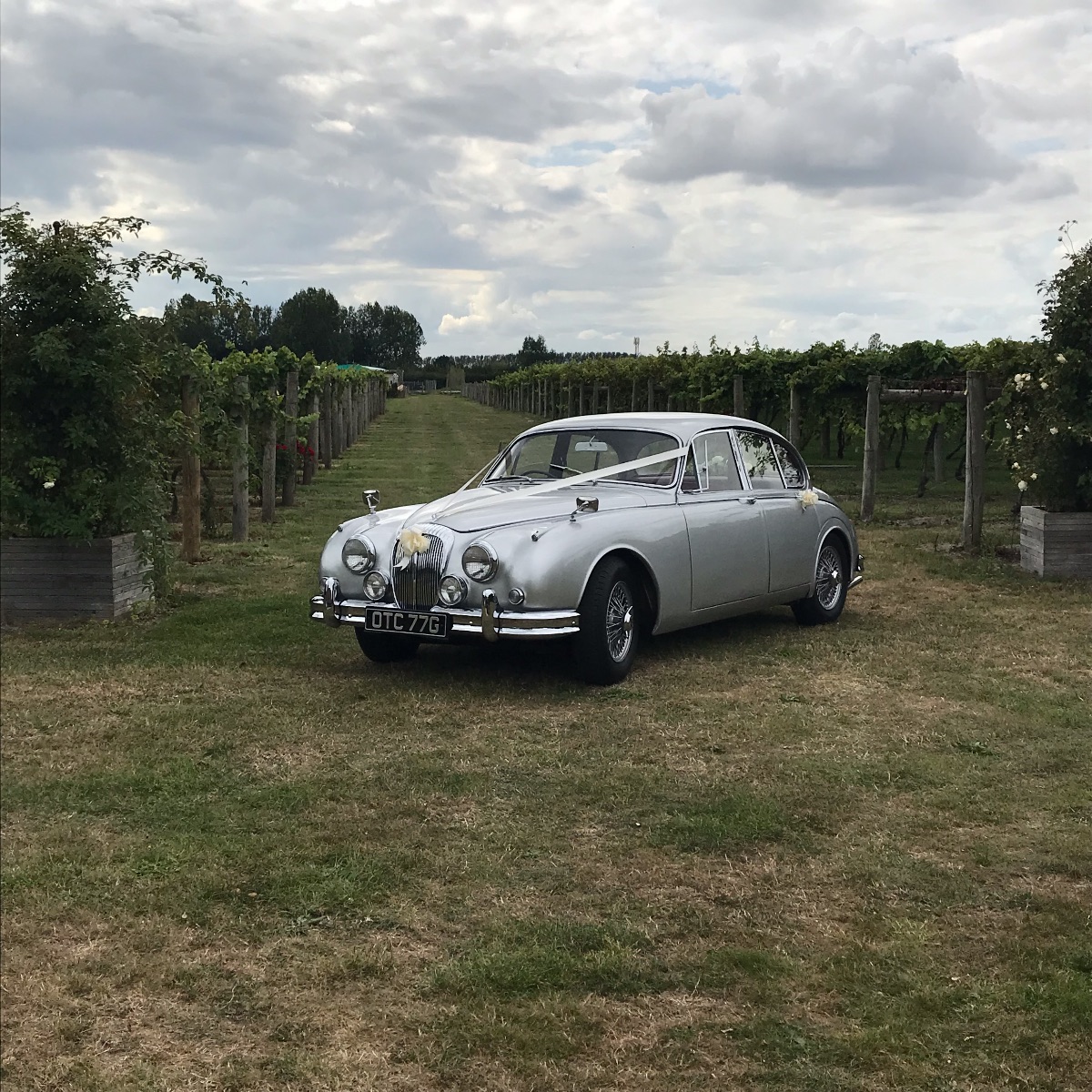 Gallery Item 31 for Highdown Vineyard