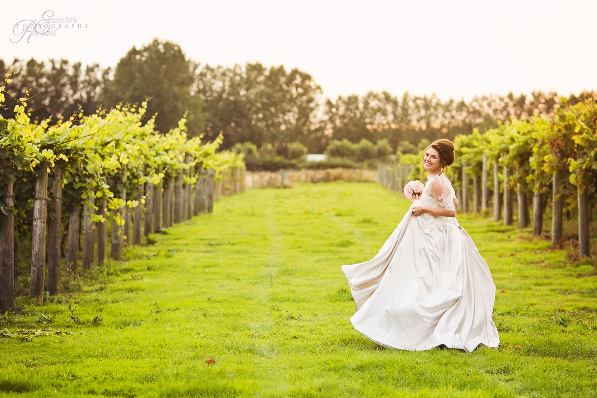 Gallery Item 26 for Highdown Vineyard