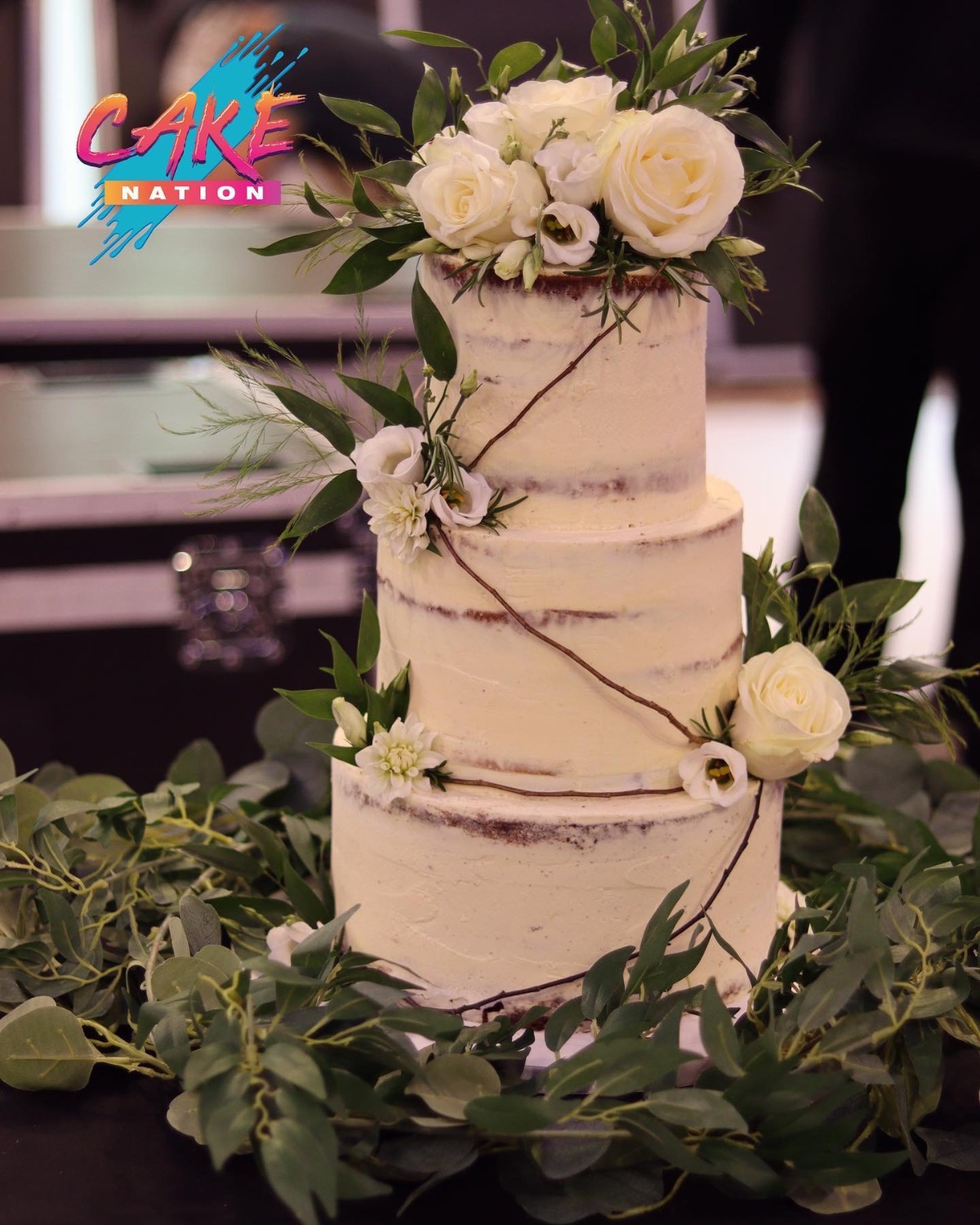 Cake Nation-Image-22