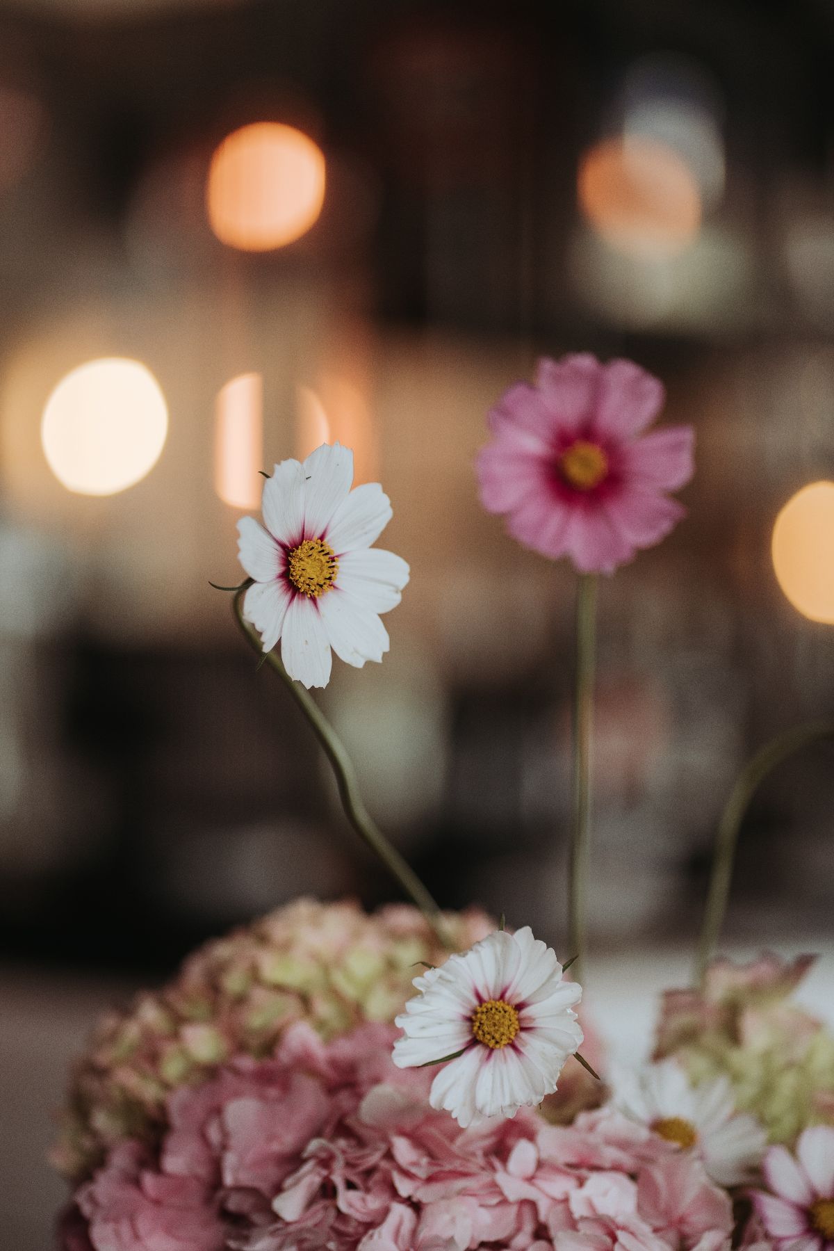 Claire Coulthard Photography-Image-124