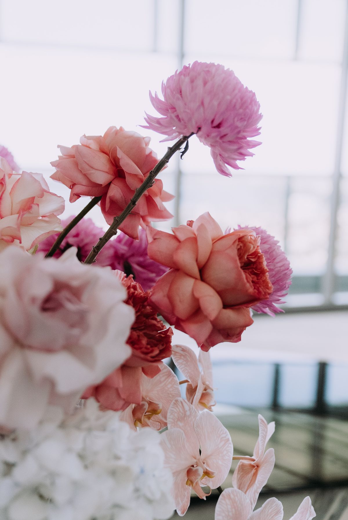 Claire Coulthard Photography-Image-32