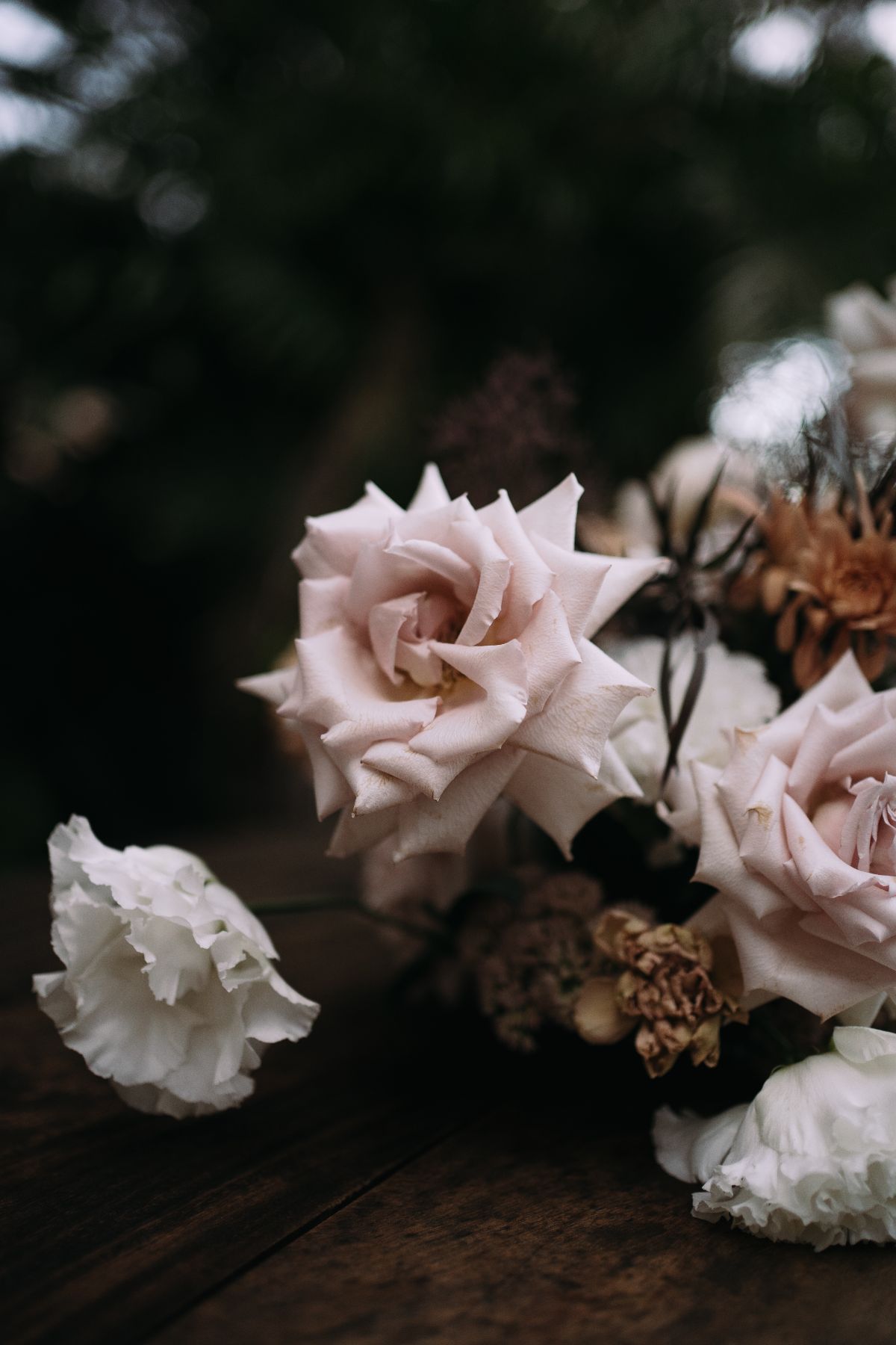 Claire Coulthard Photography-Image-148