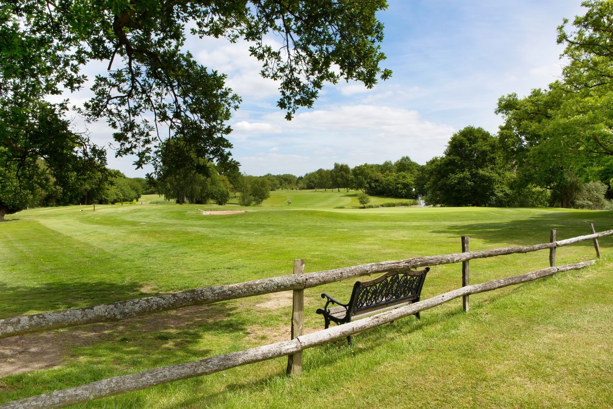 Gallery Item 18 for Hagley Golf Club