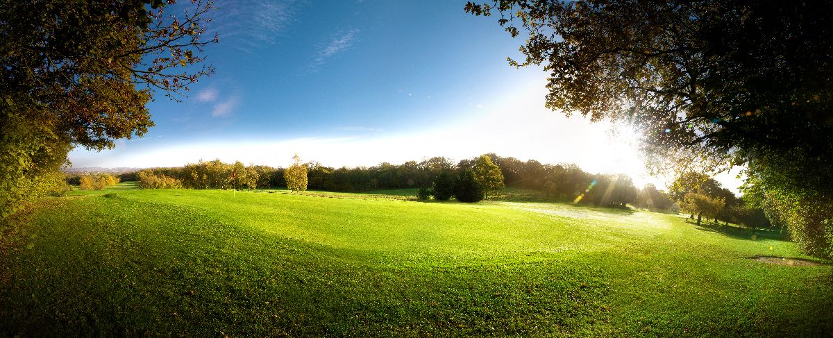 Gallery Item 17 for Hagley Golf Club