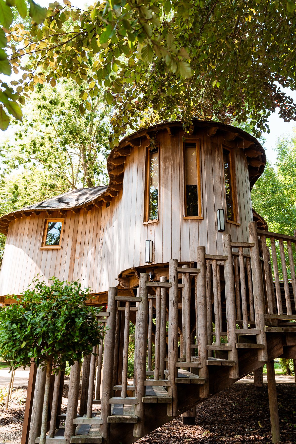 Gallery Item 11 for The Woodland at Hothorpe Hall