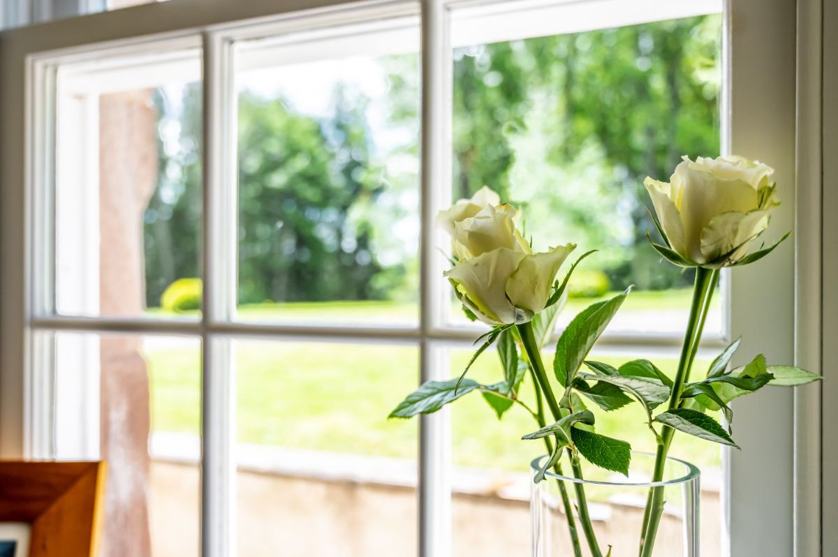 Gallery Item 31 for Assynt House