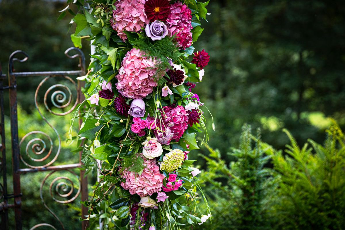 Gallery Item 21 for Assynt House