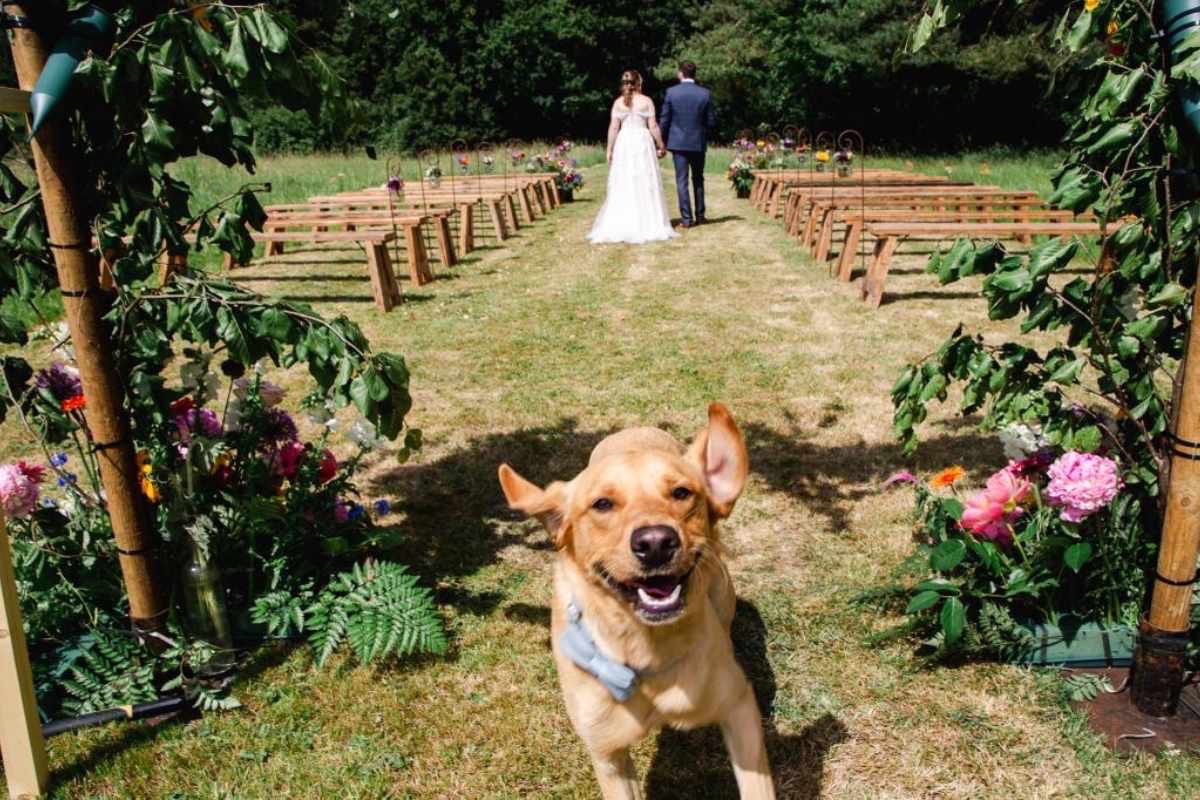 Gallery Item 11 for Hubbards Farm Weddings