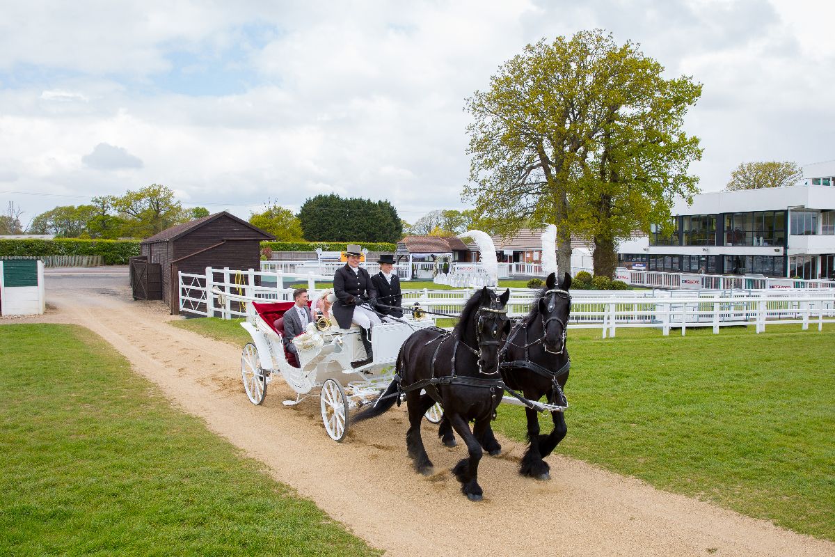 Gallery Item 52 for Plumpton Racecourse