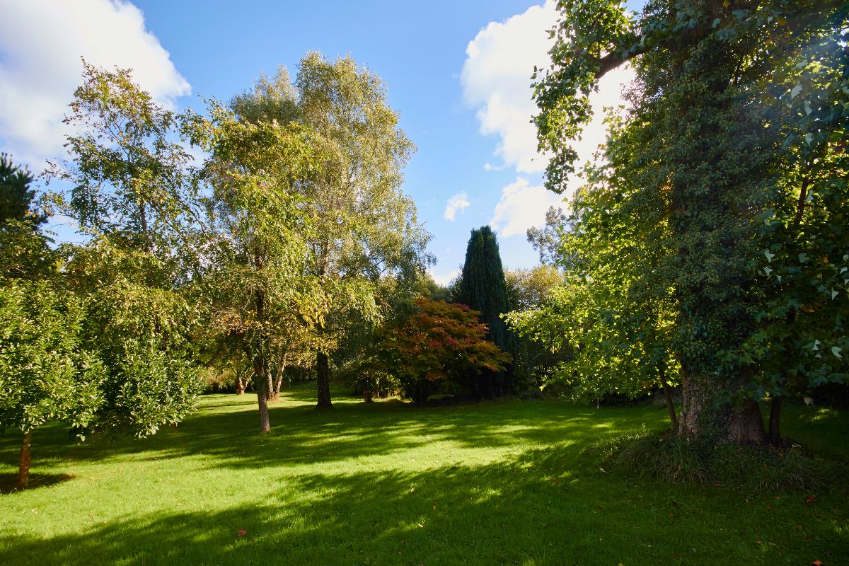 Gallery Item 39 for Minstead Lodge