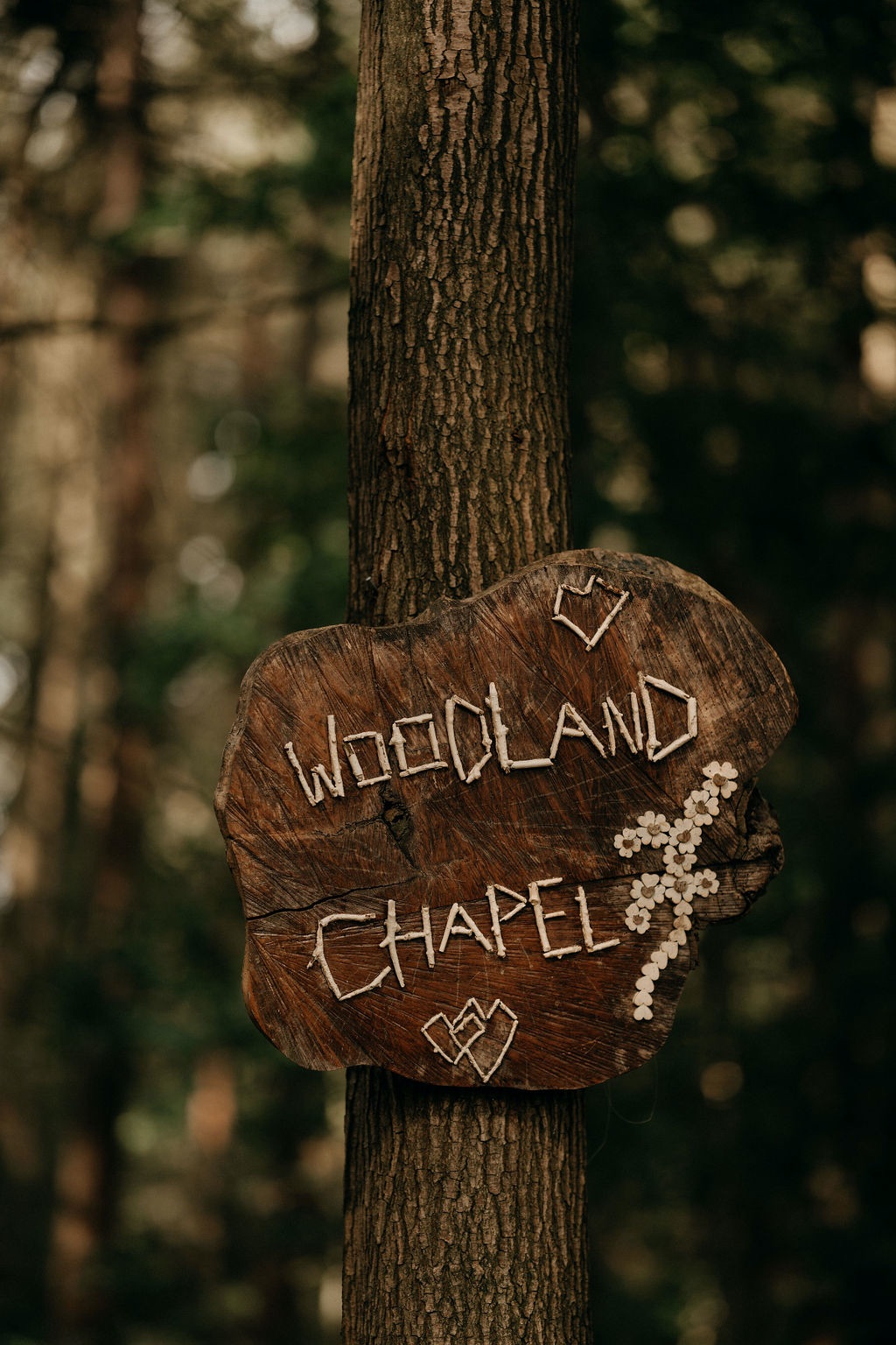 Gallery Item 38 for Camp Katur