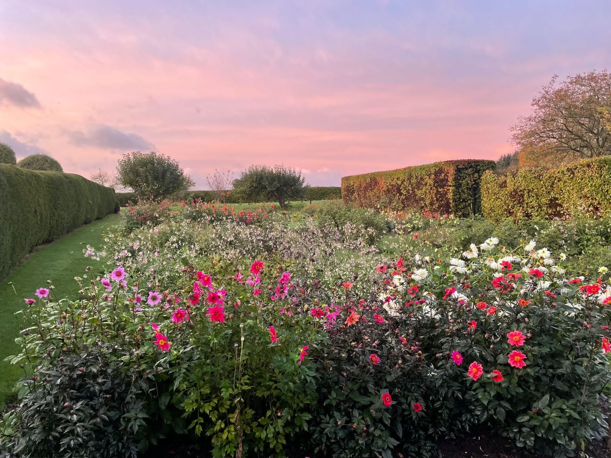 Rose Castle-Image-34