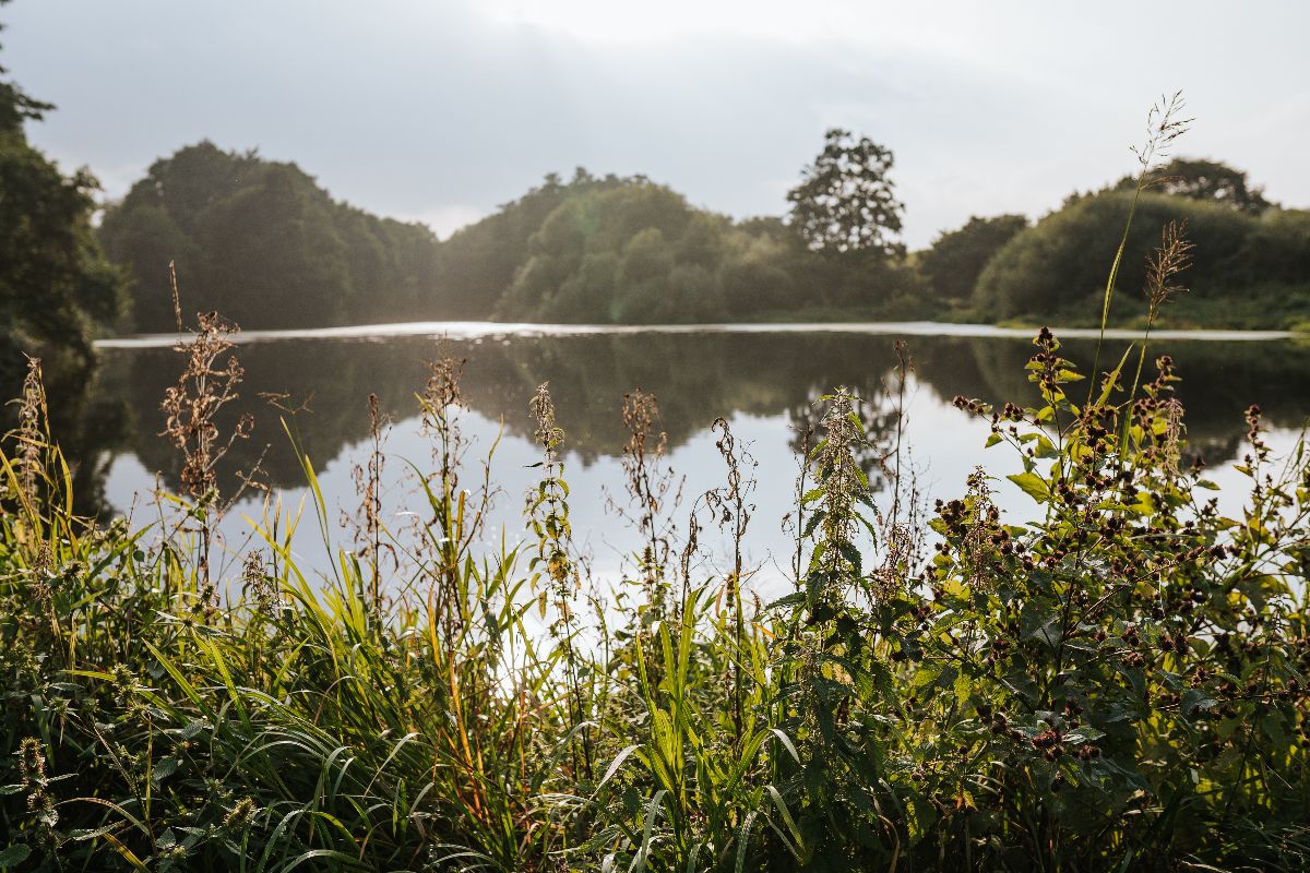 Stoke by Nayland Resort-Image-60