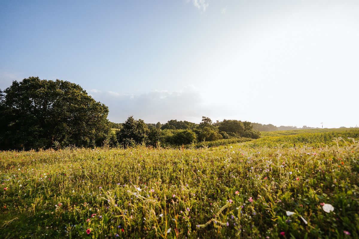 Stoke by Nayland Resort-Image-52