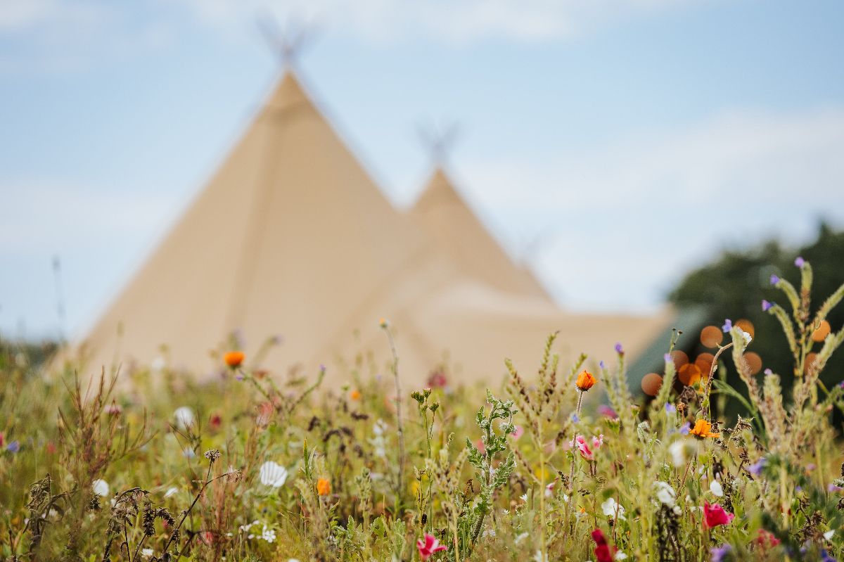 Stoke by Nayland Resort-Image-10