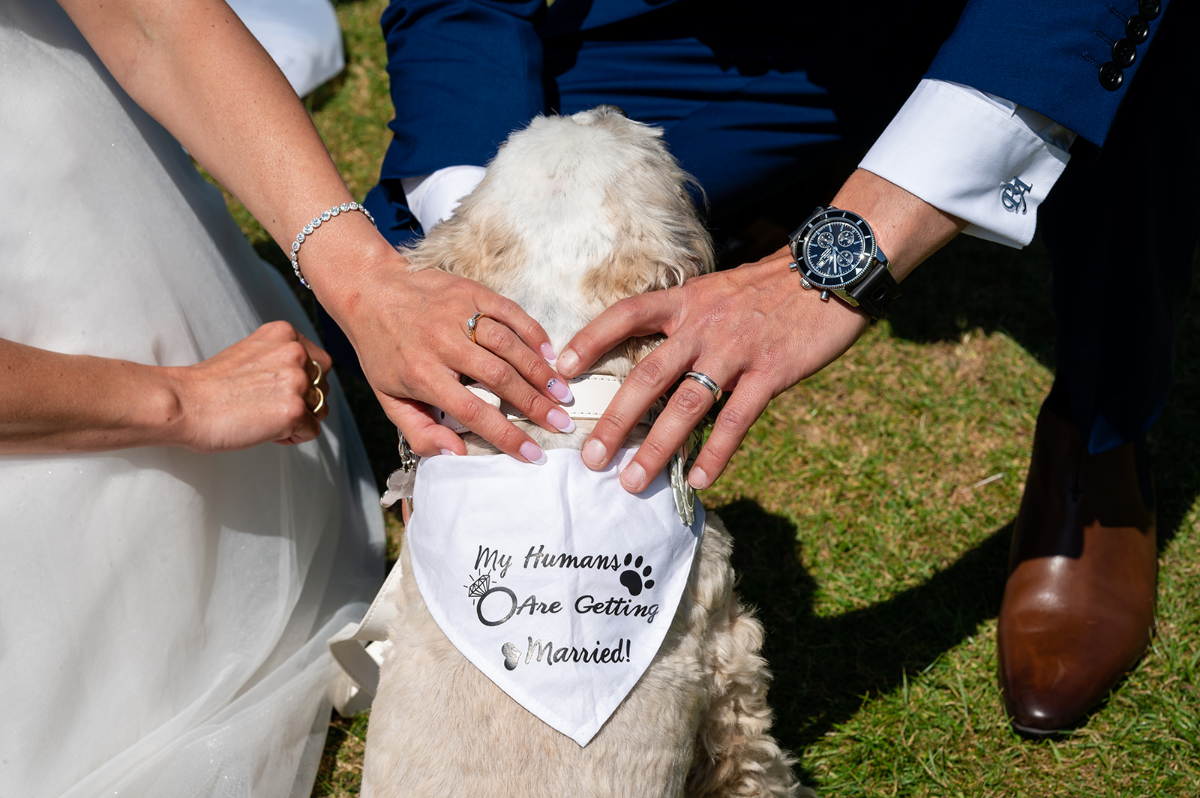My Cornwall Wedding - Bude-Image-6