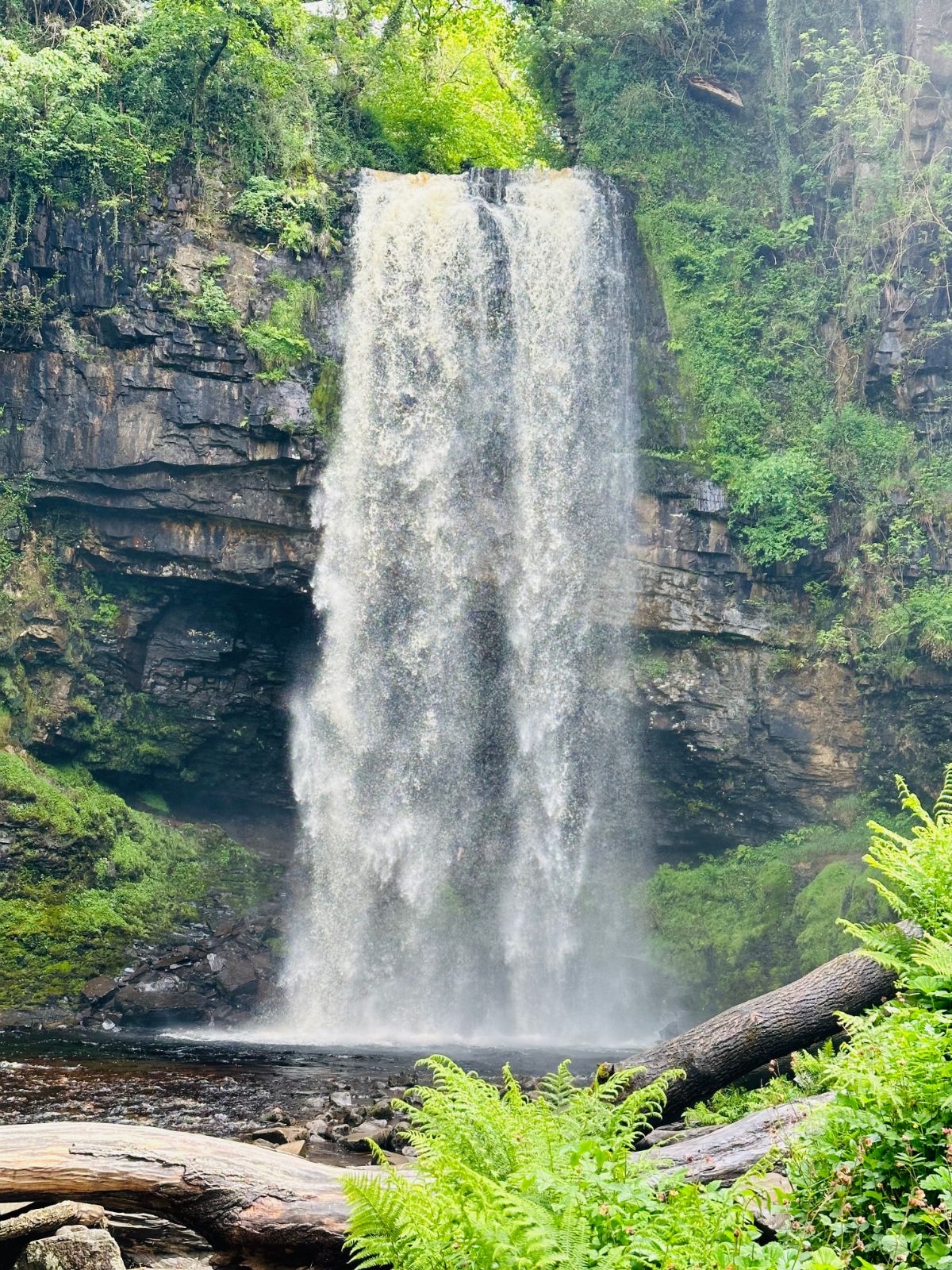 Gallery Item 39 for Waterfall Country Escape - Venue + Accommodation