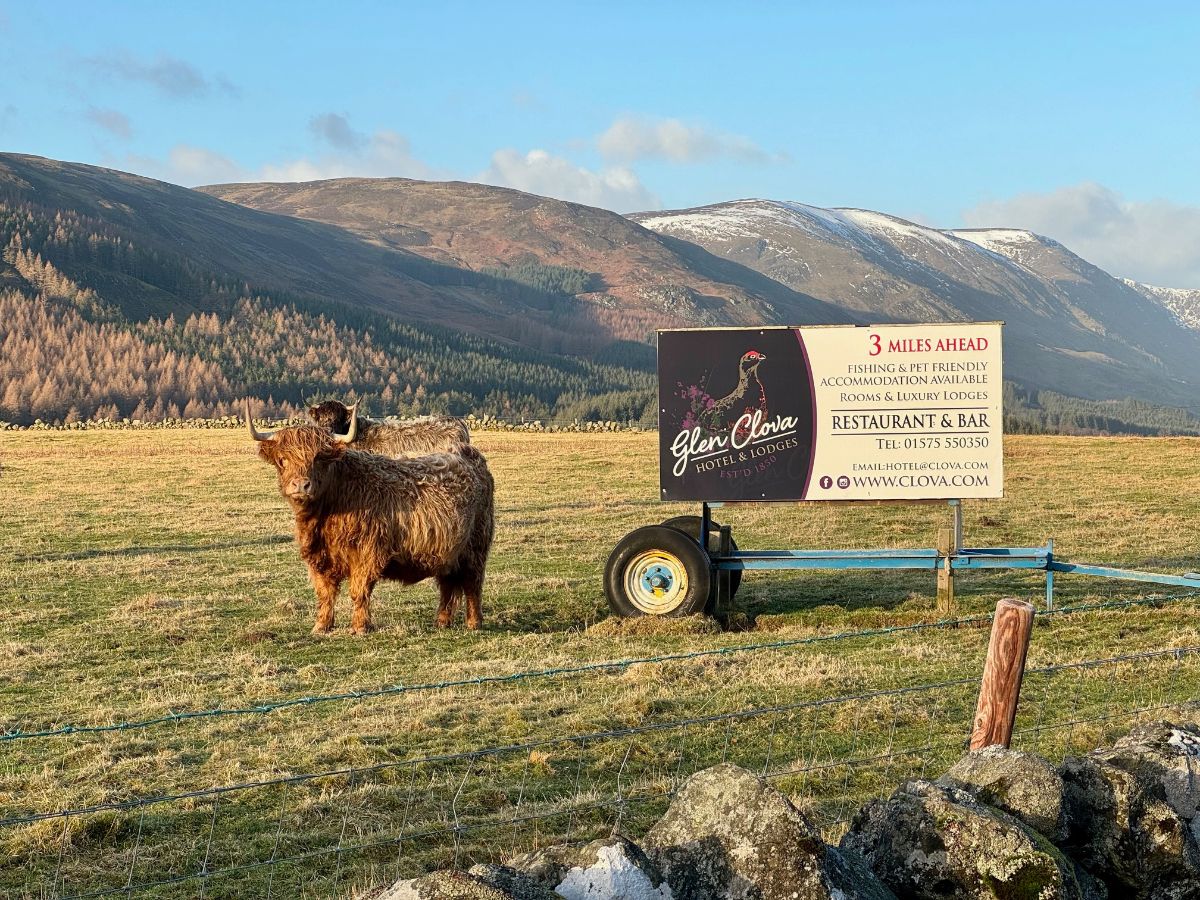 Gallery Item 100 for Glen Clova Hotel