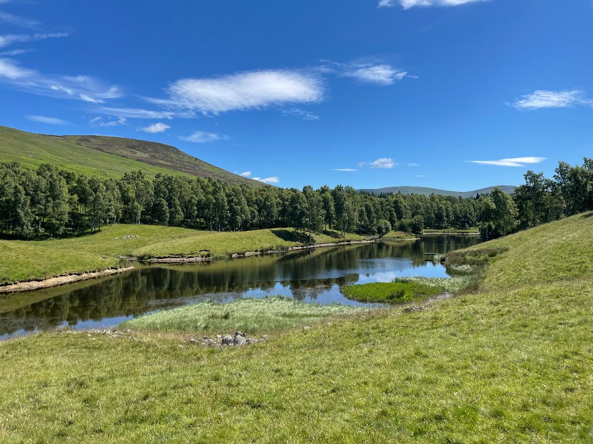 Gallery Item 148 for Glen Clova Hotel