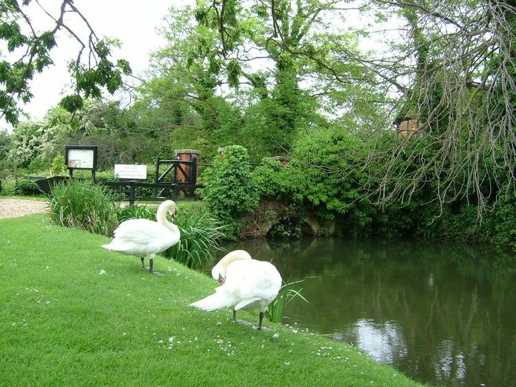 Gallery Item 52 for Moreteyne Manor