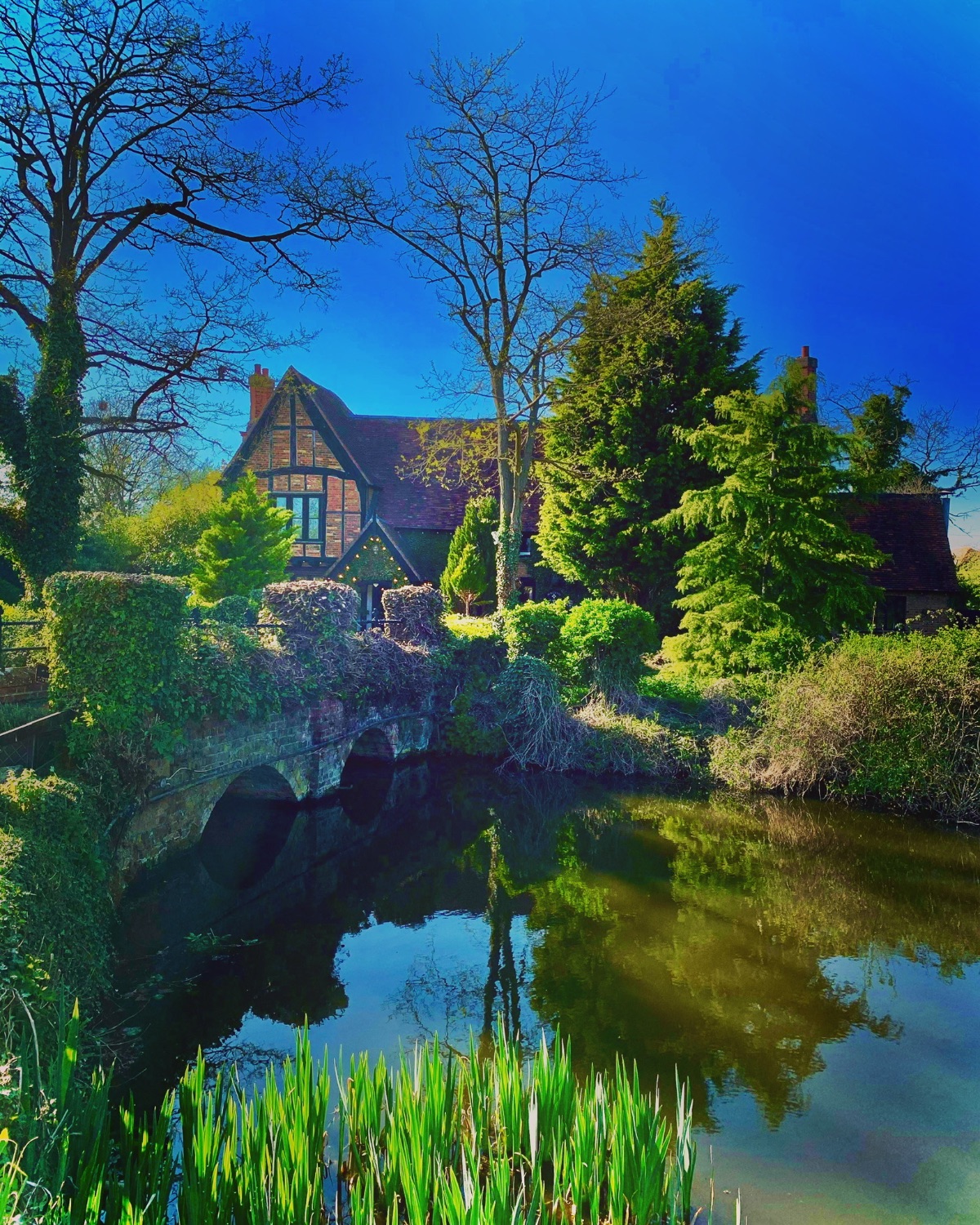 Gallery Item 120 for Moreteyne Manor