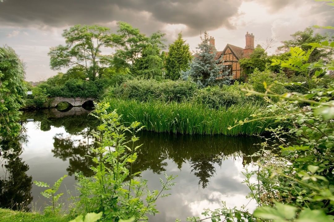 Gallery Item 56 for Moreteyne Manor