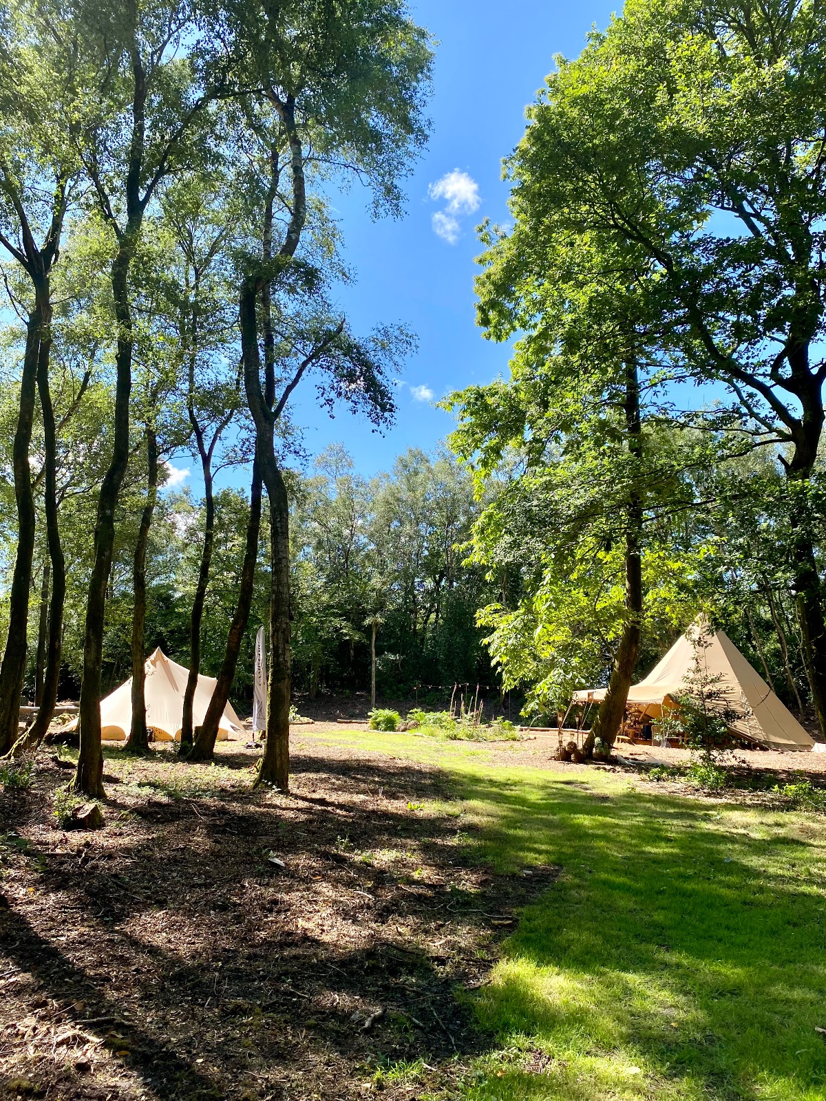 Hillfort Woodland Weddings-Image-18