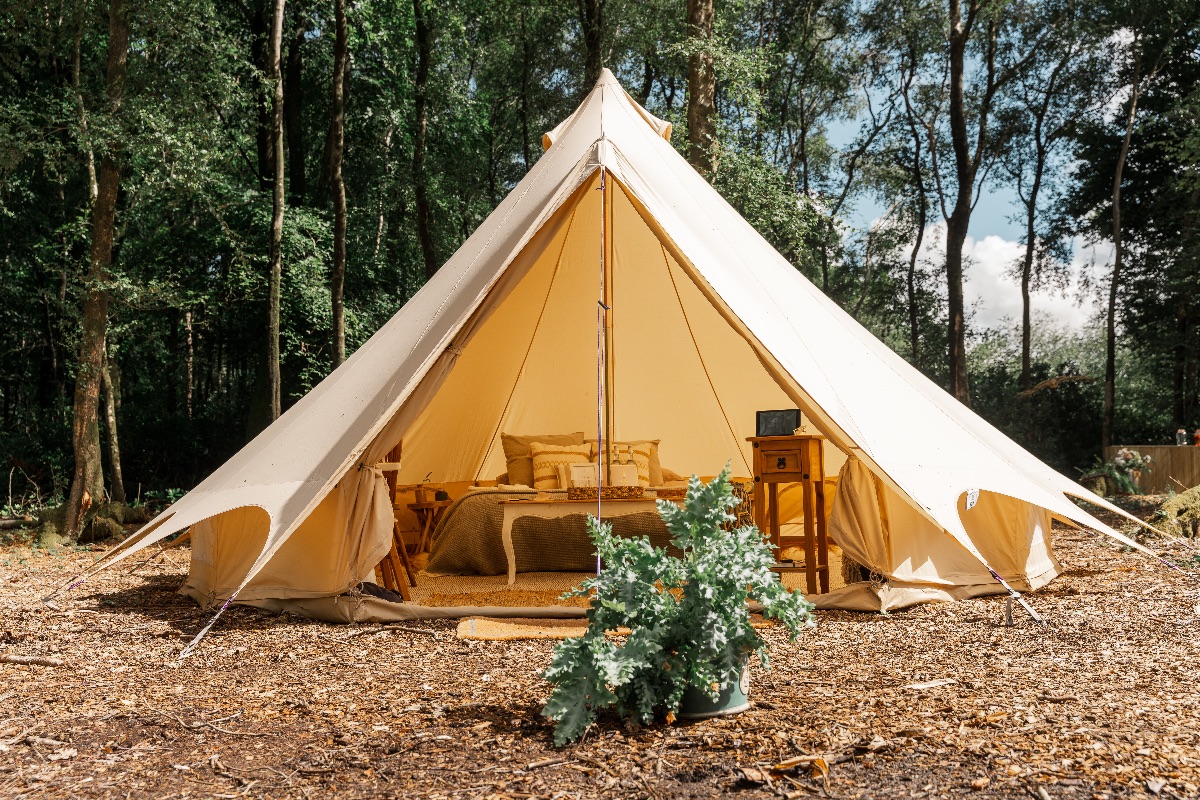 Hillfort Woodland Weddings-Image-14