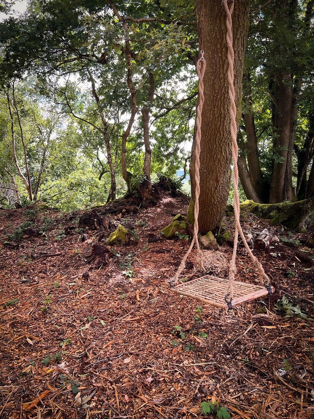 Hillfort Woodland Weddings-Image-10