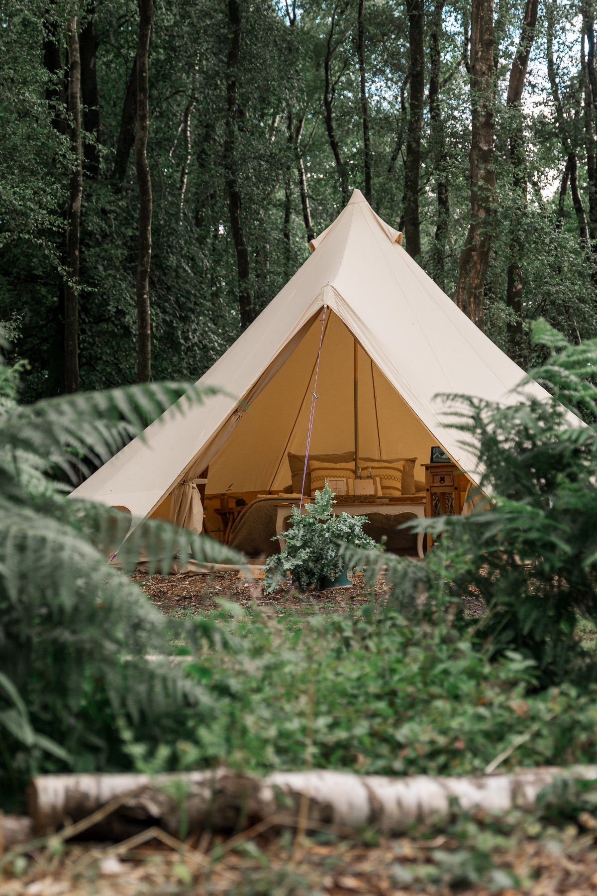 Hillfort Woodland Weddings-Image-13
