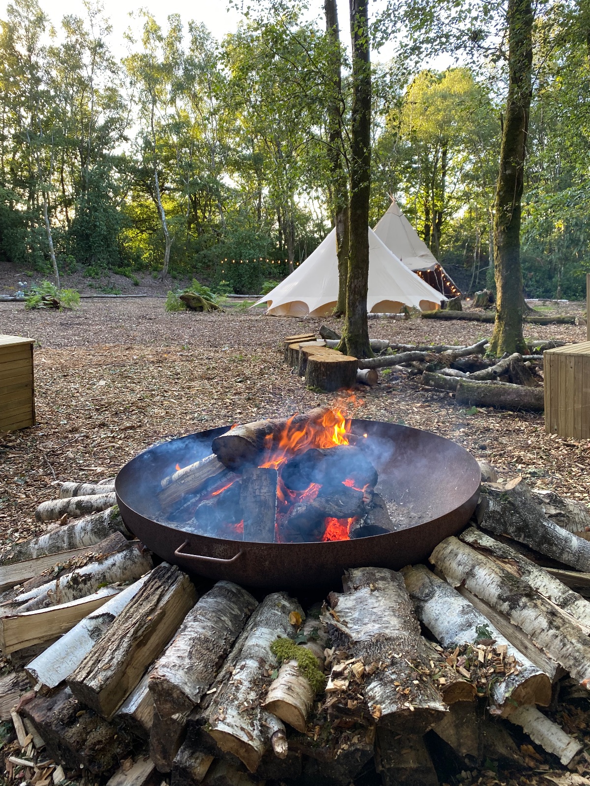 Hillfort Woodland Weddings-Image-16