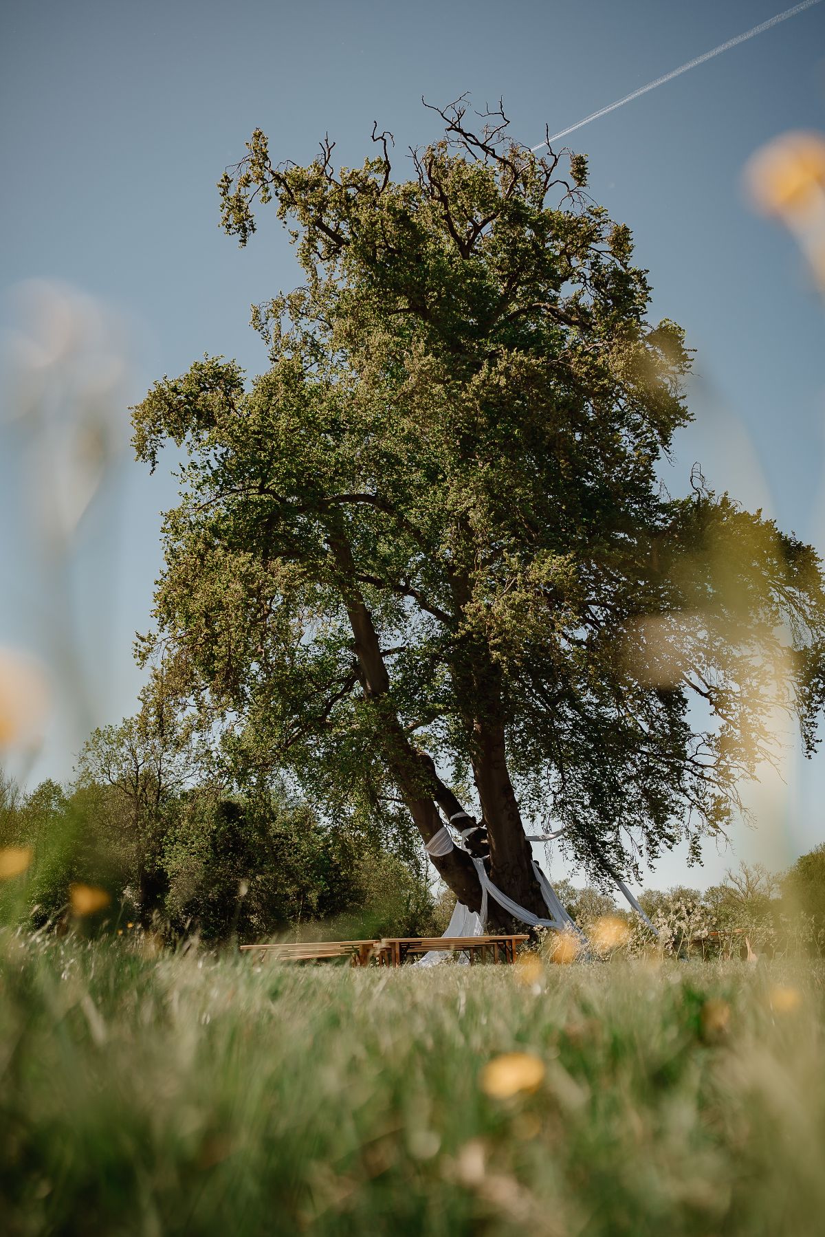 Gallery Item 11 for Swanley Meadows - Tipi Weddings & Events