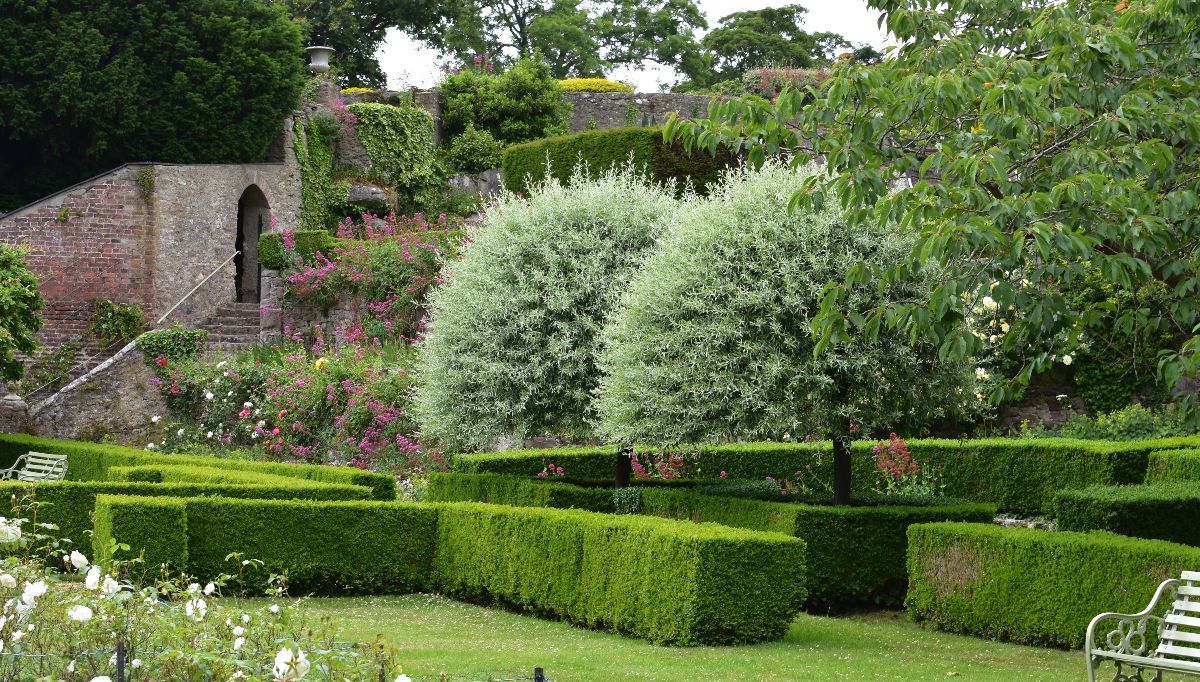 Bodysgallen Hall Hotel & Spa-Image-25