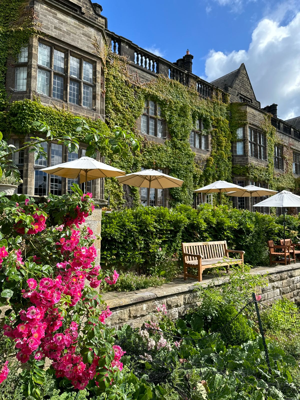 Gallery Item 17 for Gisborough Hall