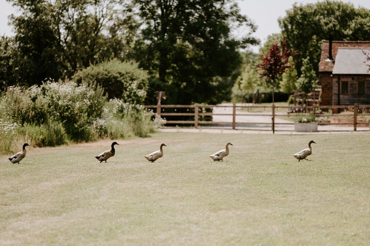 Gallery Item 14 for Silchester Farm