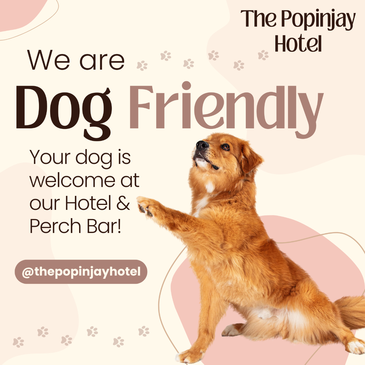Gallery Item 30 for The Popinjay Hotel