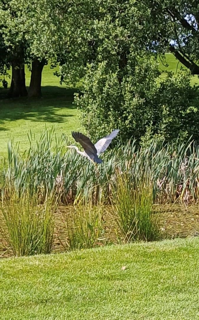 HINCKLEY GOLF CLUB-Image-37