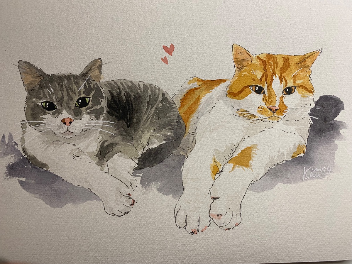Illustration by kiwi-Image-65