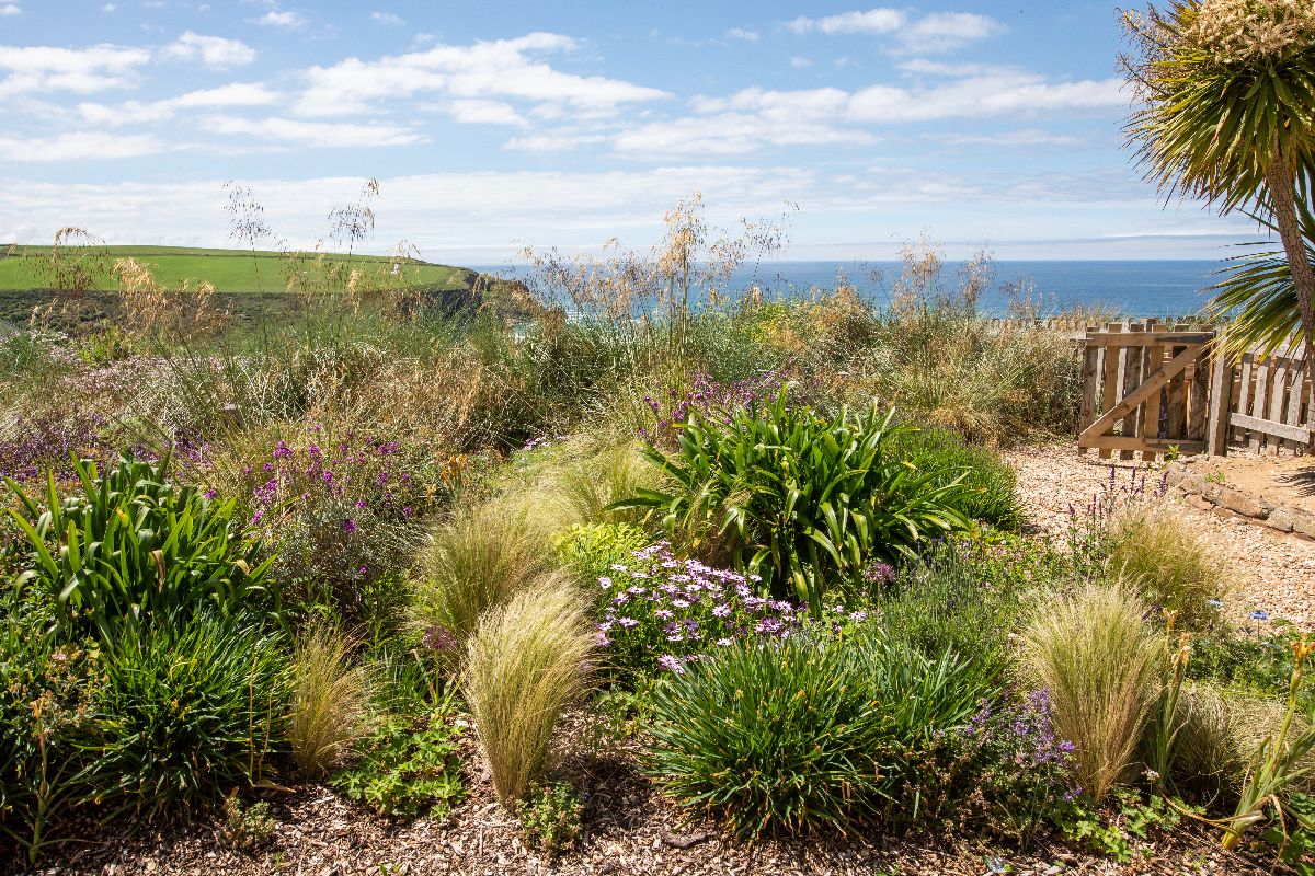 Gallery Item 16 for Bedruthan Hotel and Spa