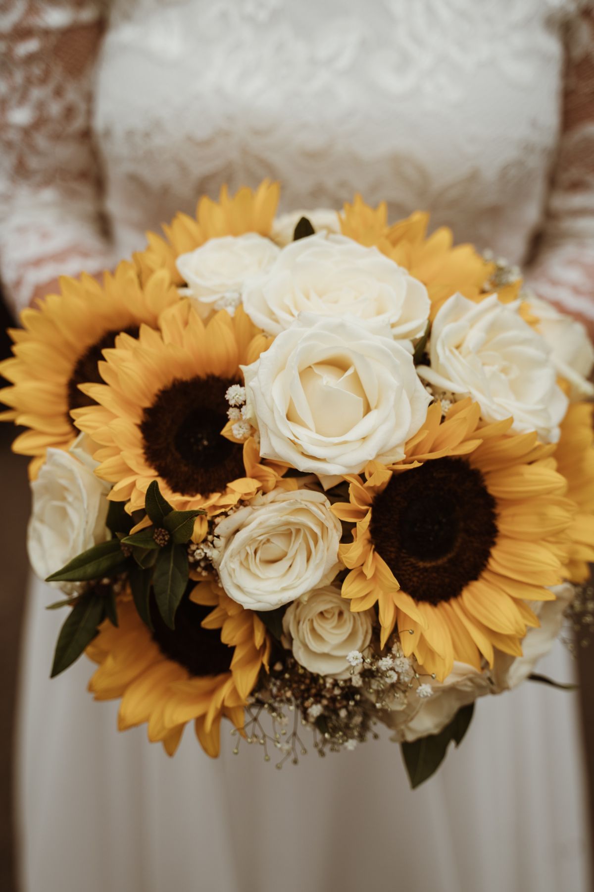 Sussex Media-Image-70