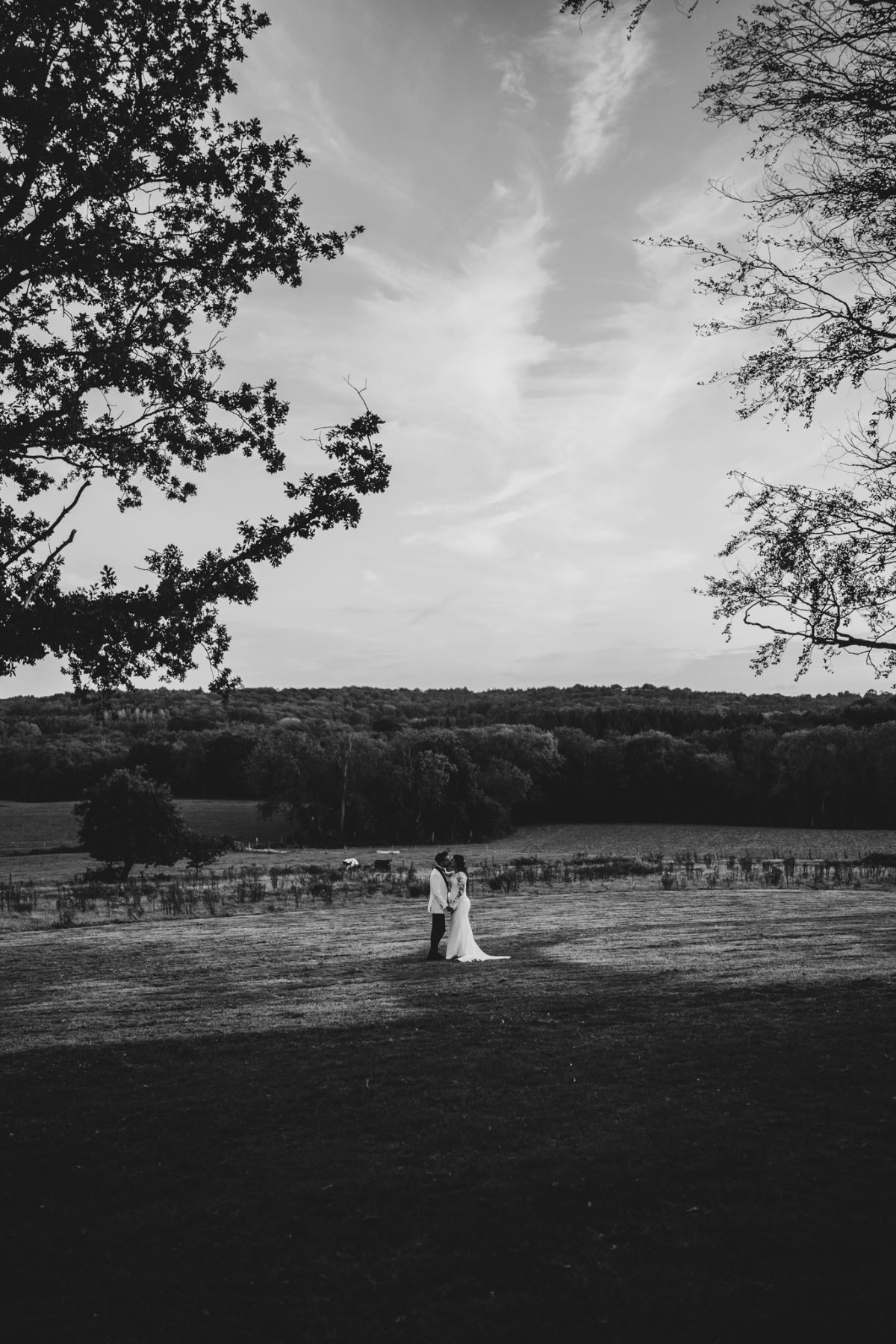 Sussex Media-Image-22