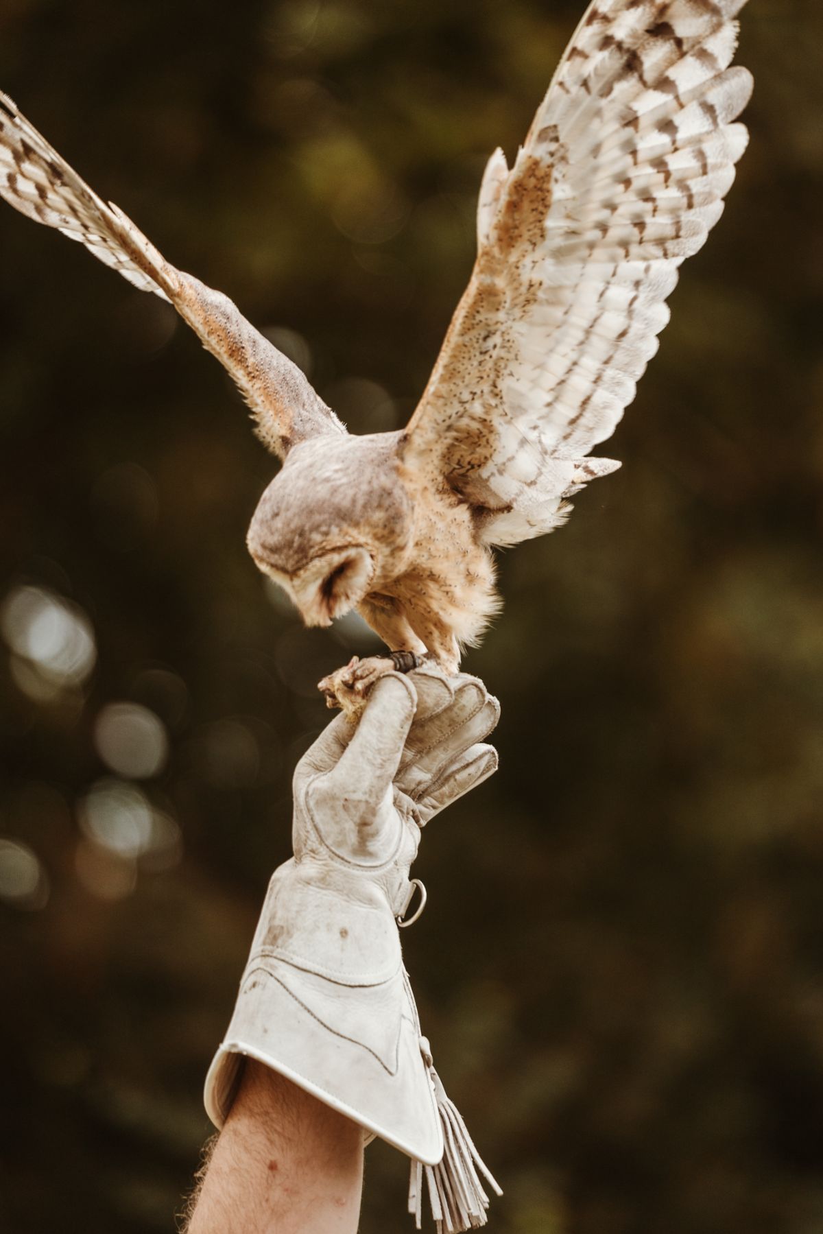 Sussex Media-Image-19