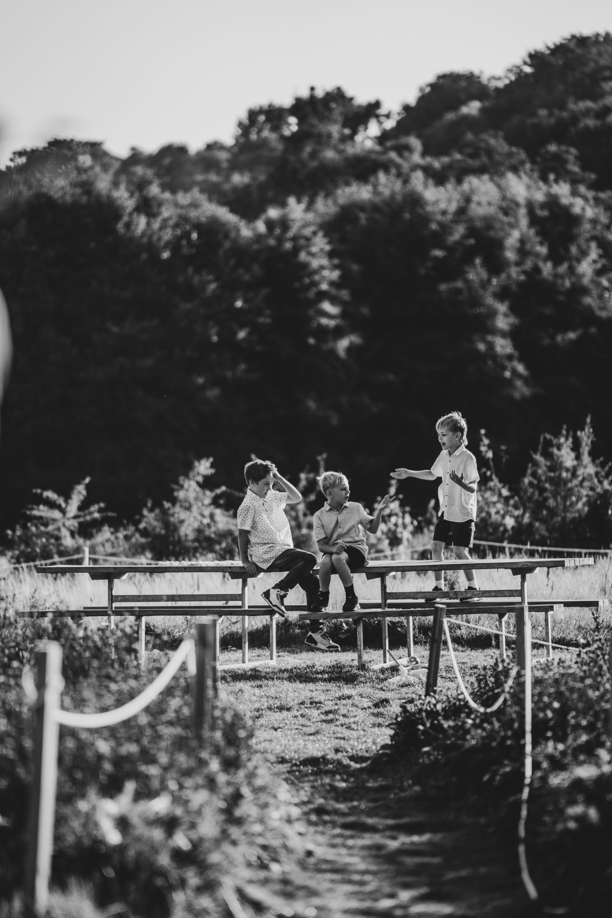 Sussex Media-Image-75