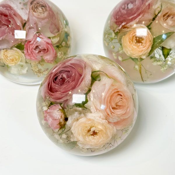 Petals Preserved-Image-8