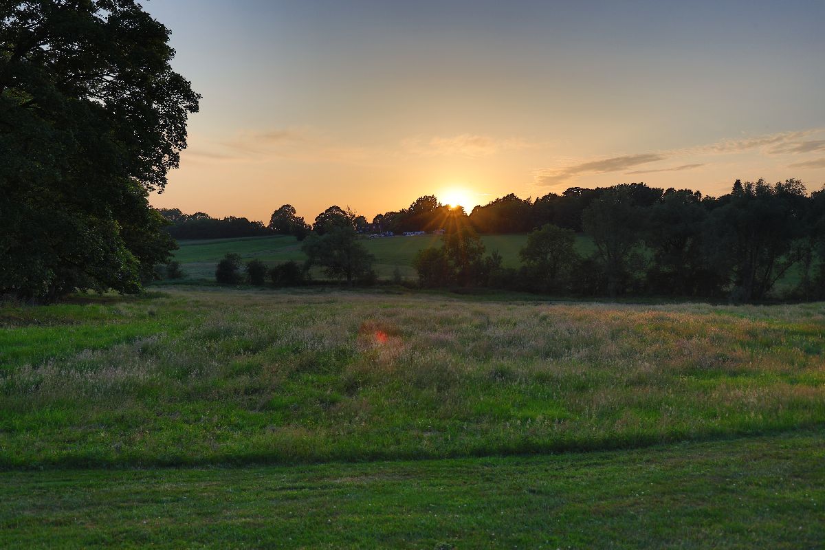 CopleyX Media-Image-10