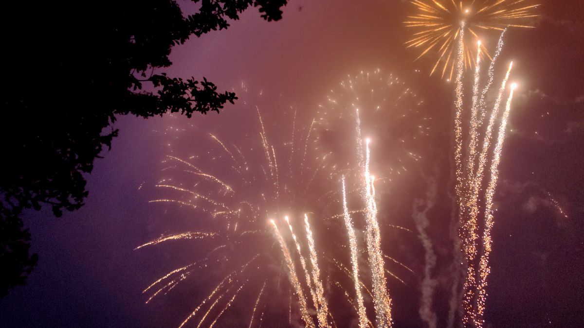 CopleyX Media-Image-17