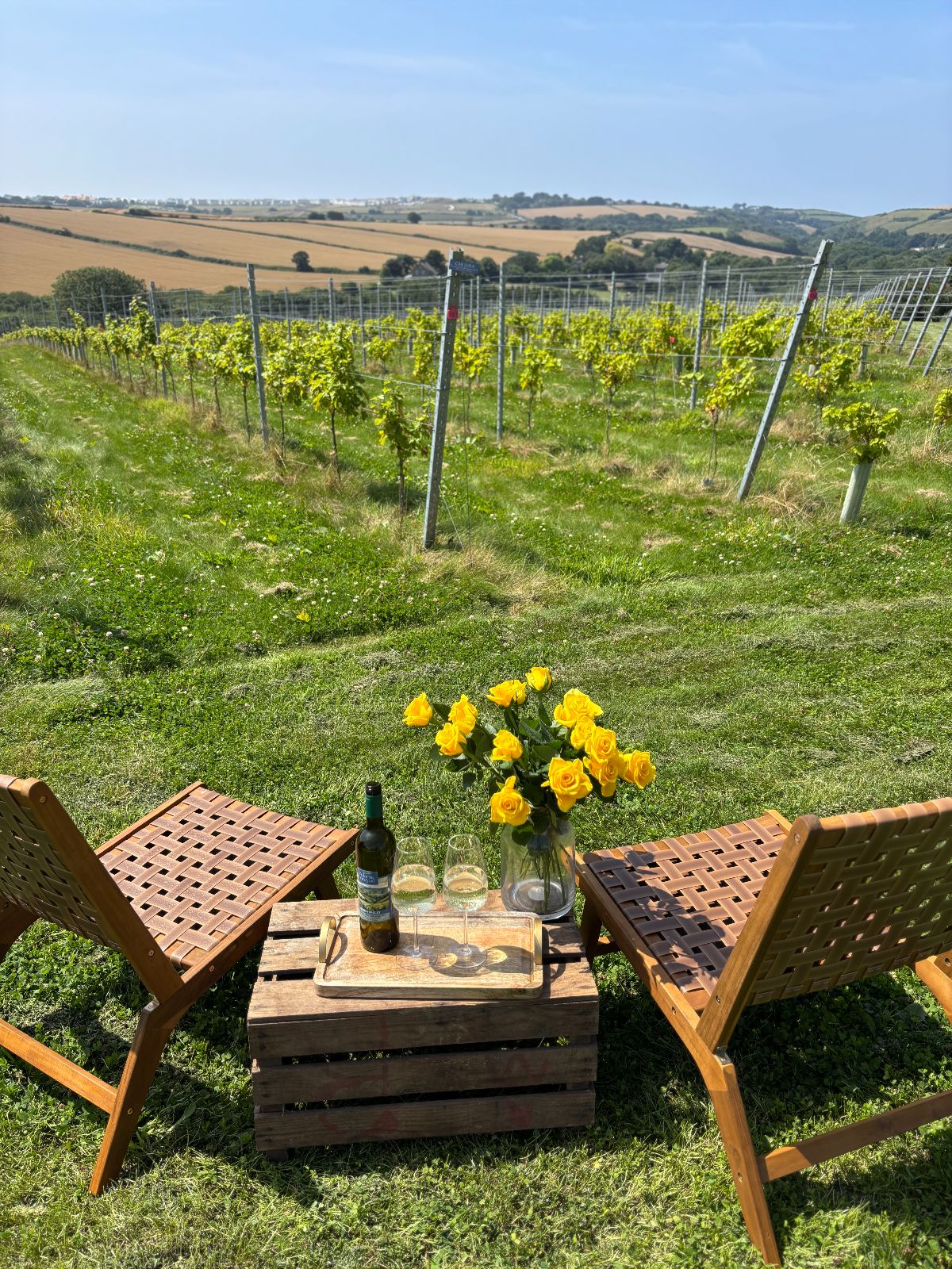 Gallery Item 9 for The Atlantic Vineyard